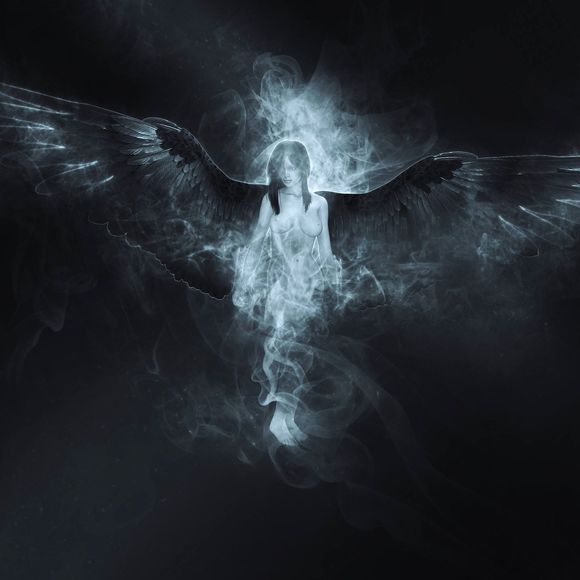 Meet your Posher, Melanie - Picture 1 of 1